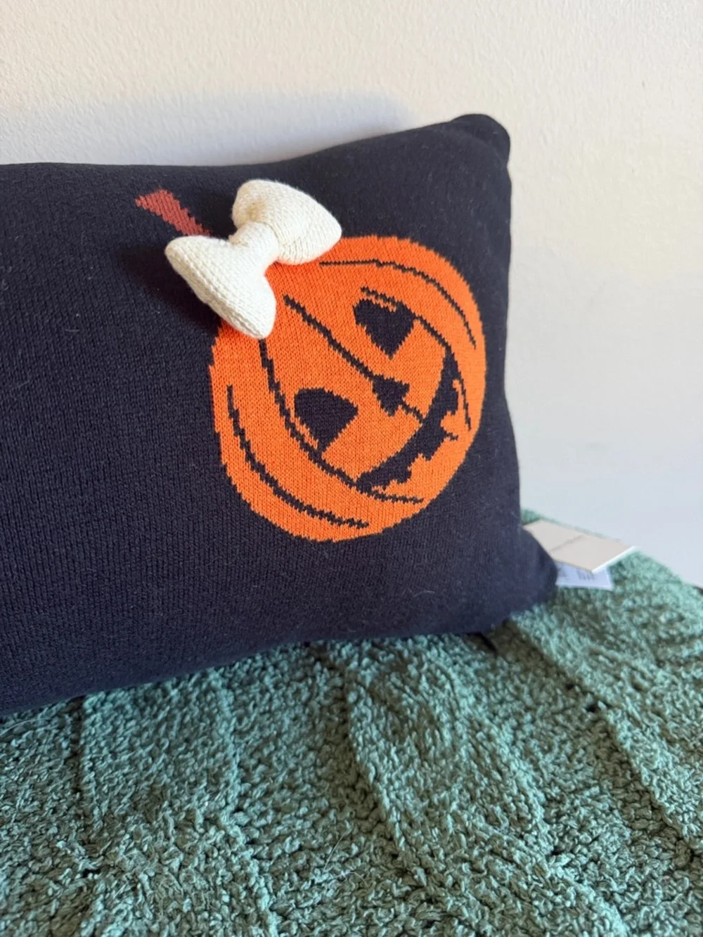 Chelsea & Theodore Halloween 🎃 Pumpkin Pillow Black & Orange NEW!